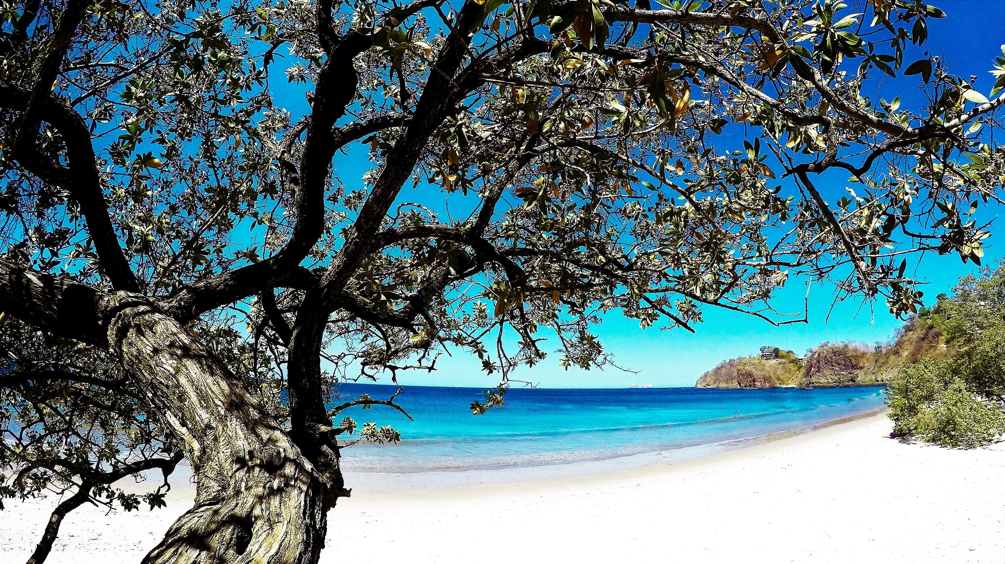 Margaritaville Beach Resort Playa Flamingo Kültér fotó