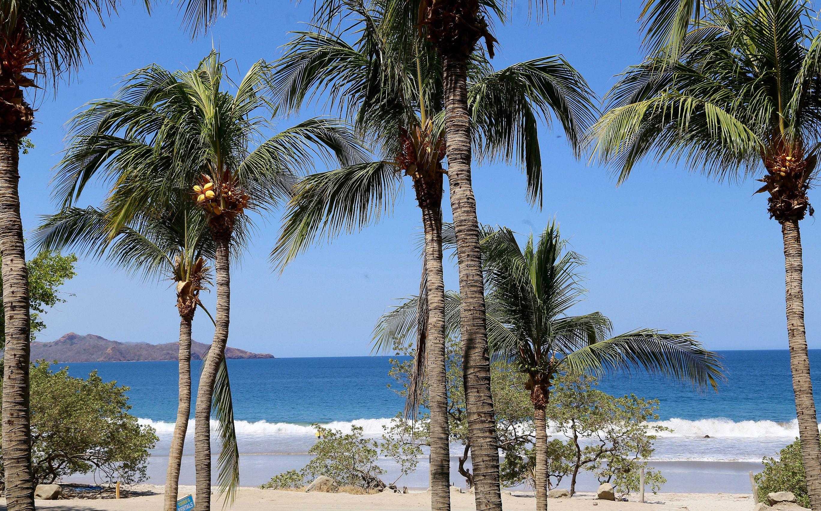 Margaritaville Beach Resort Playa Flamingo Kültér fotó